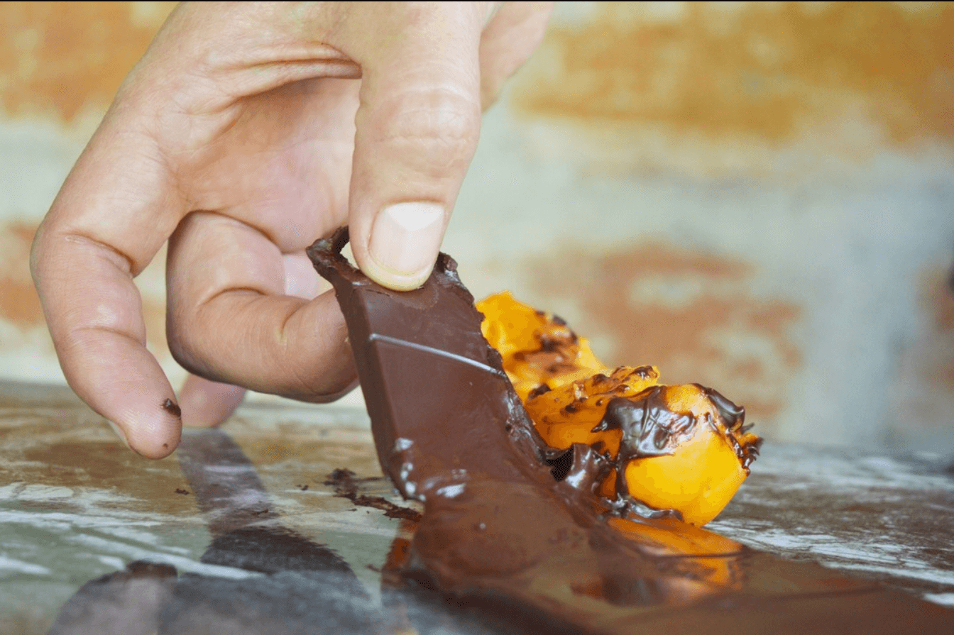 Guayabilla Chocolate Bar - Mashpi Chocolate