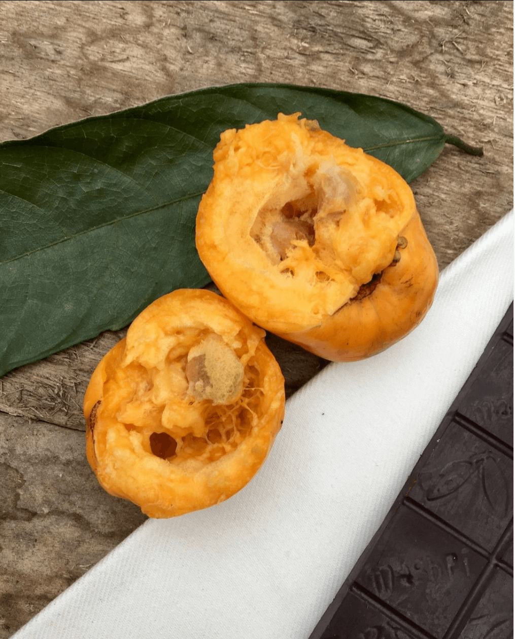 Guayabilla Chocolate Bar - Mashpi Chocolate