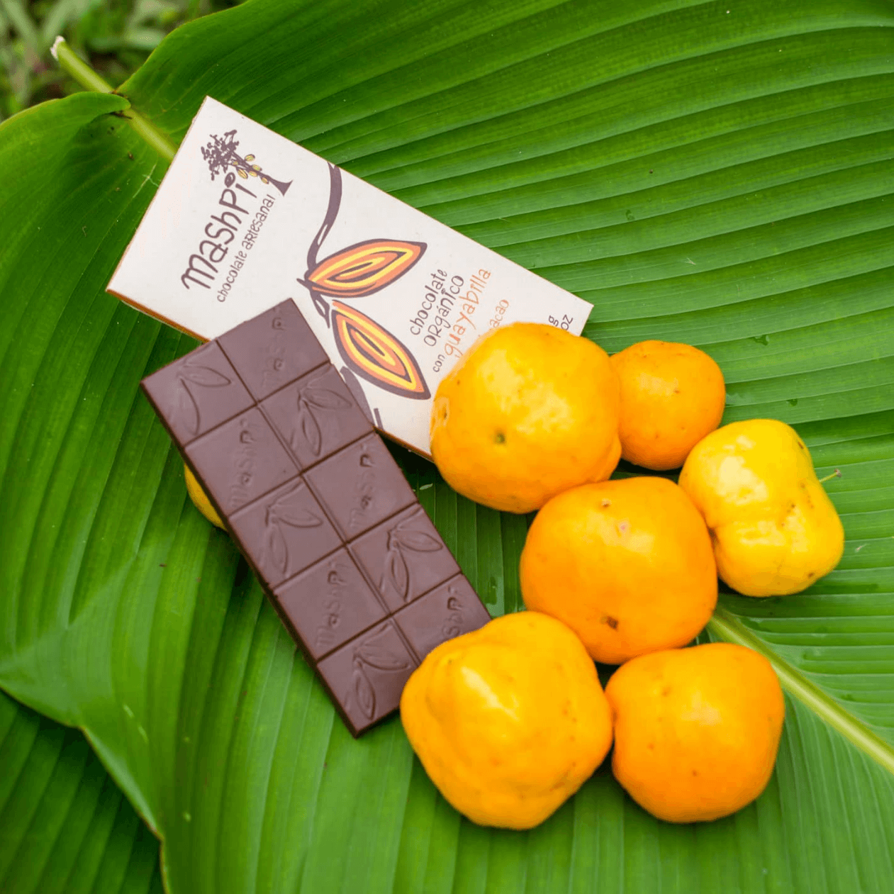 Guayabilla Chocolate Bar - Mashpi Chocolate