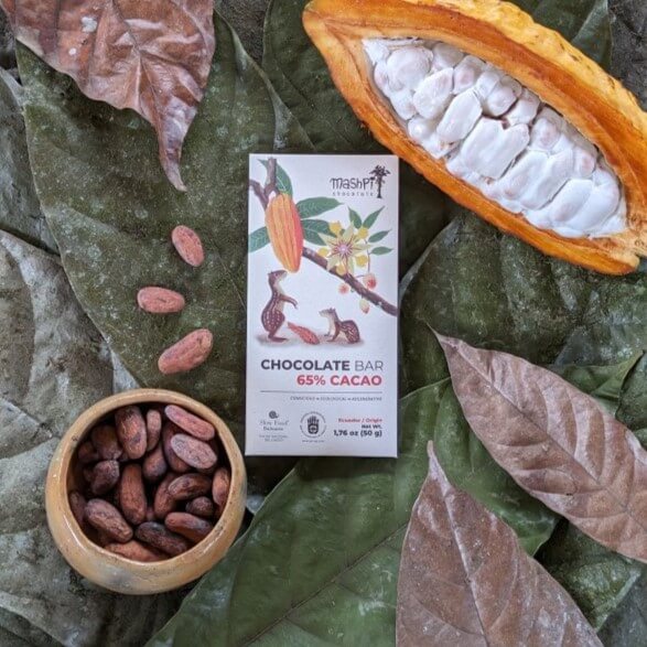 Premium chocolate bar with 65% cacao content, crafted for a smooth and rich flavor experience, ideal for gourmet chocolate lovers and culinary creations - Mashpi-best-Chocolate 