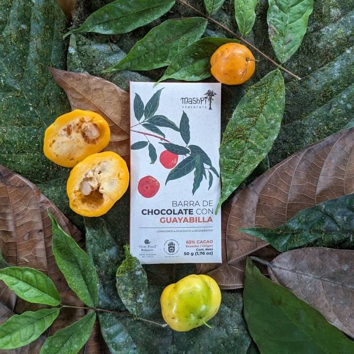 Guayabilla Chocolate Bar - Mashpi Chocolate