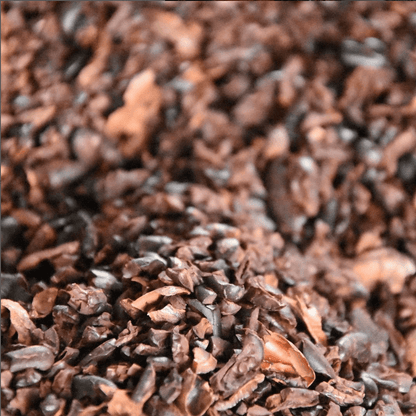 Cacao Nibs - Mashpi-Chocolate-regenerative-agriculture-chocolate